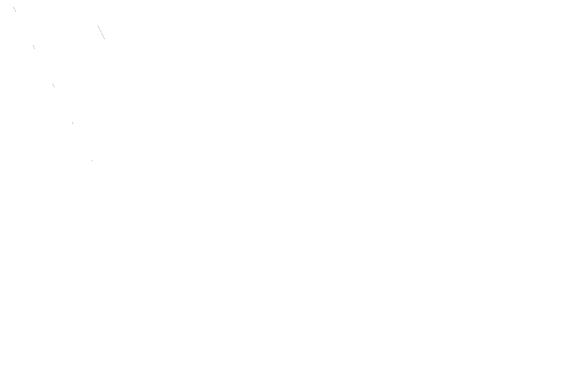 w-clinics.de